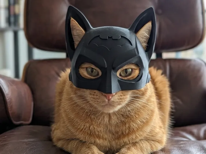 Cat Bat Helmet