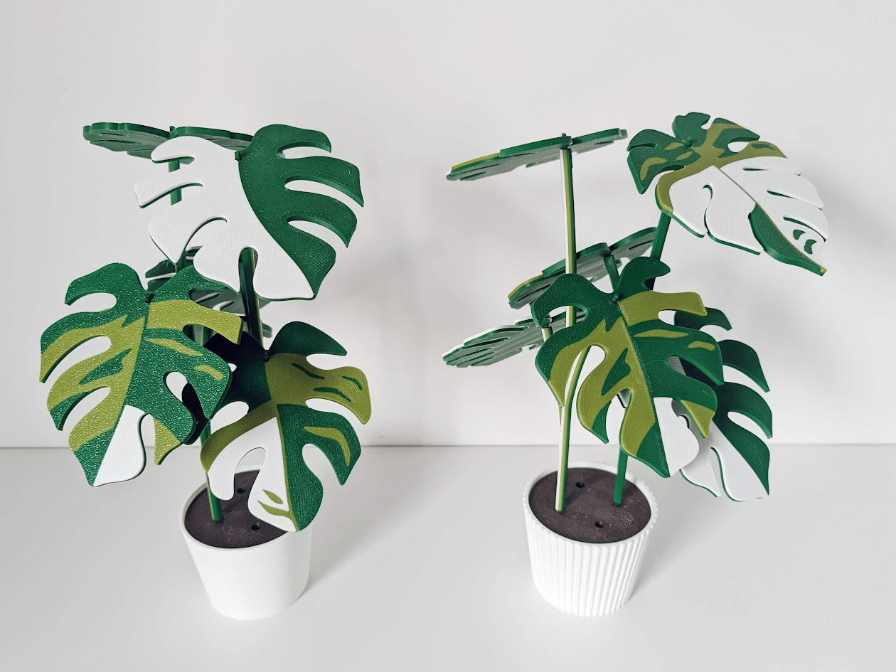 Monstera Plant with Six Leaf Coasters, photo 5