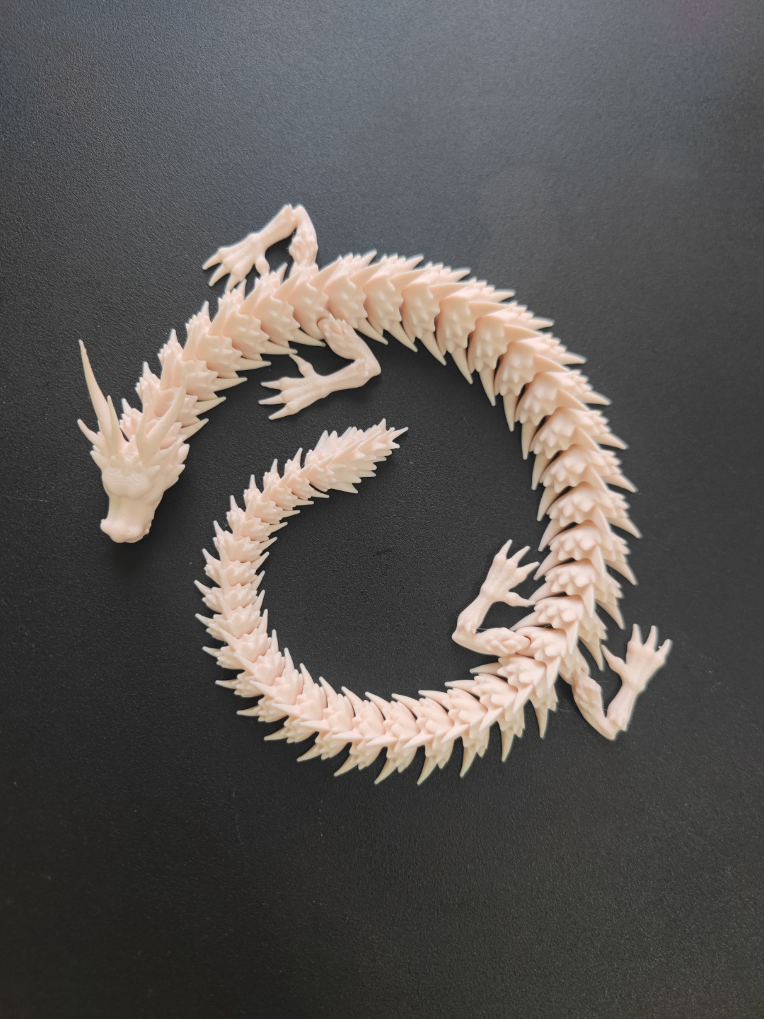Little White Dragon, photo 2