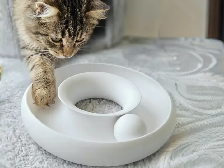 Cat Ring Infinity Ball Loop Toy