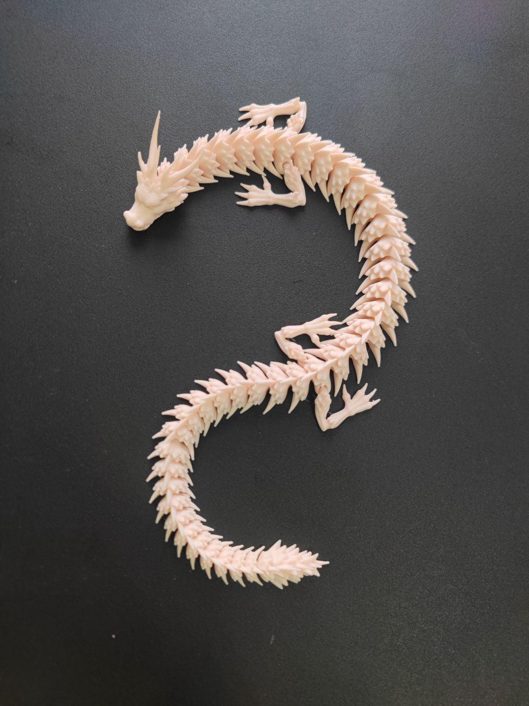Little White Dragon, photo 4