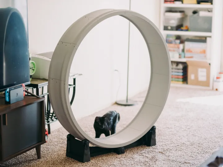Cat Exercise Wheel