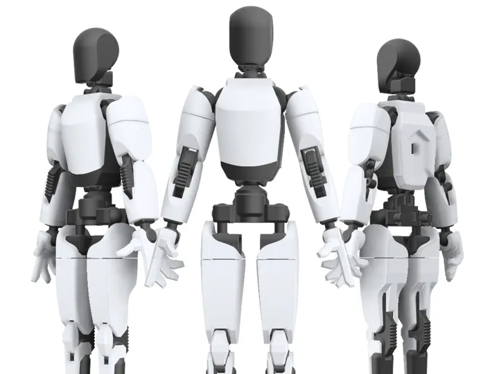 Articulated Humanoid Robot