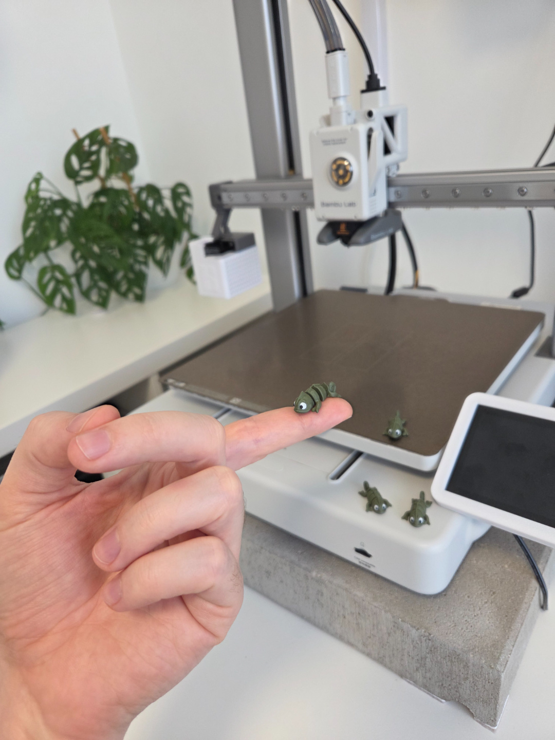 Tiny Articulated Baby Chameleon, photo 3