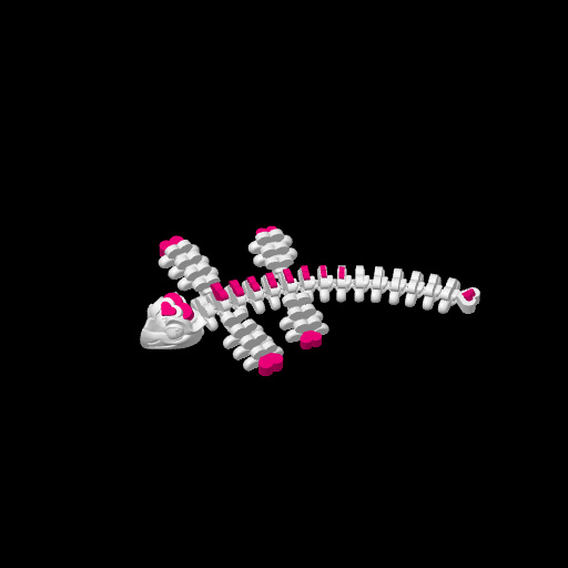Articulated heart dragon, photo 2