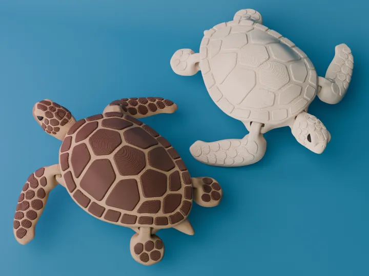 Articulated Sea Turtle