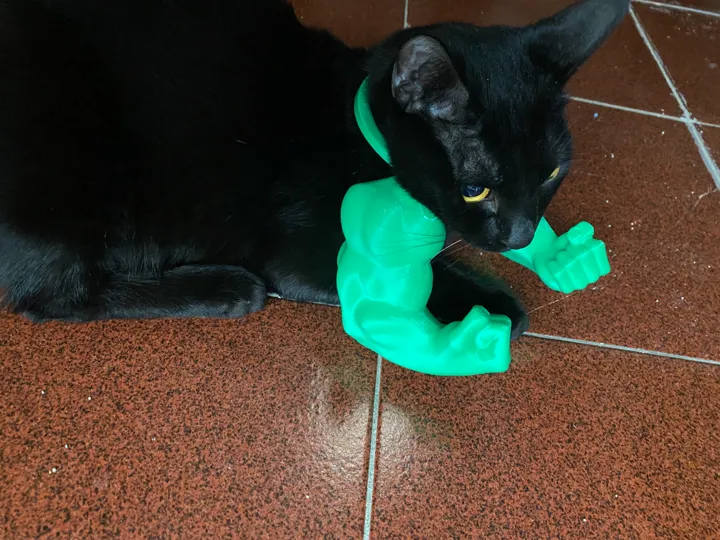 Muscular Cat Arms
