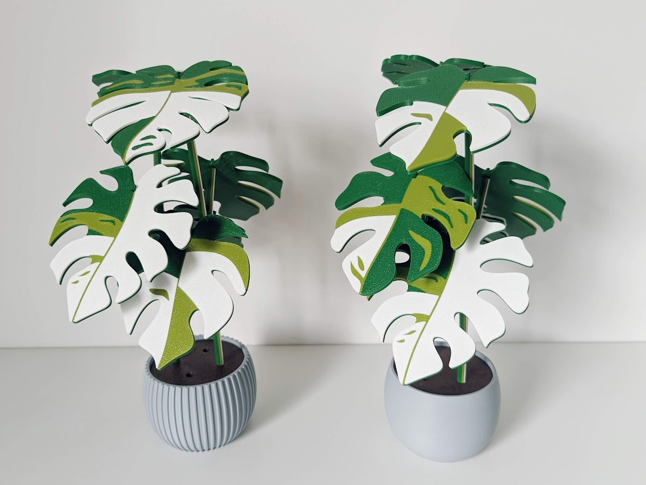 Monstera Plant with Six Leaf Coasters, photo 4