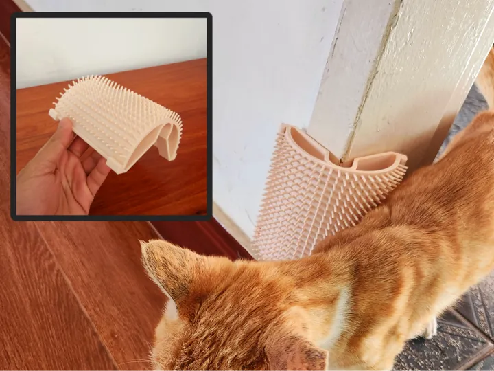 Self-Grooming Wall Cat Brush