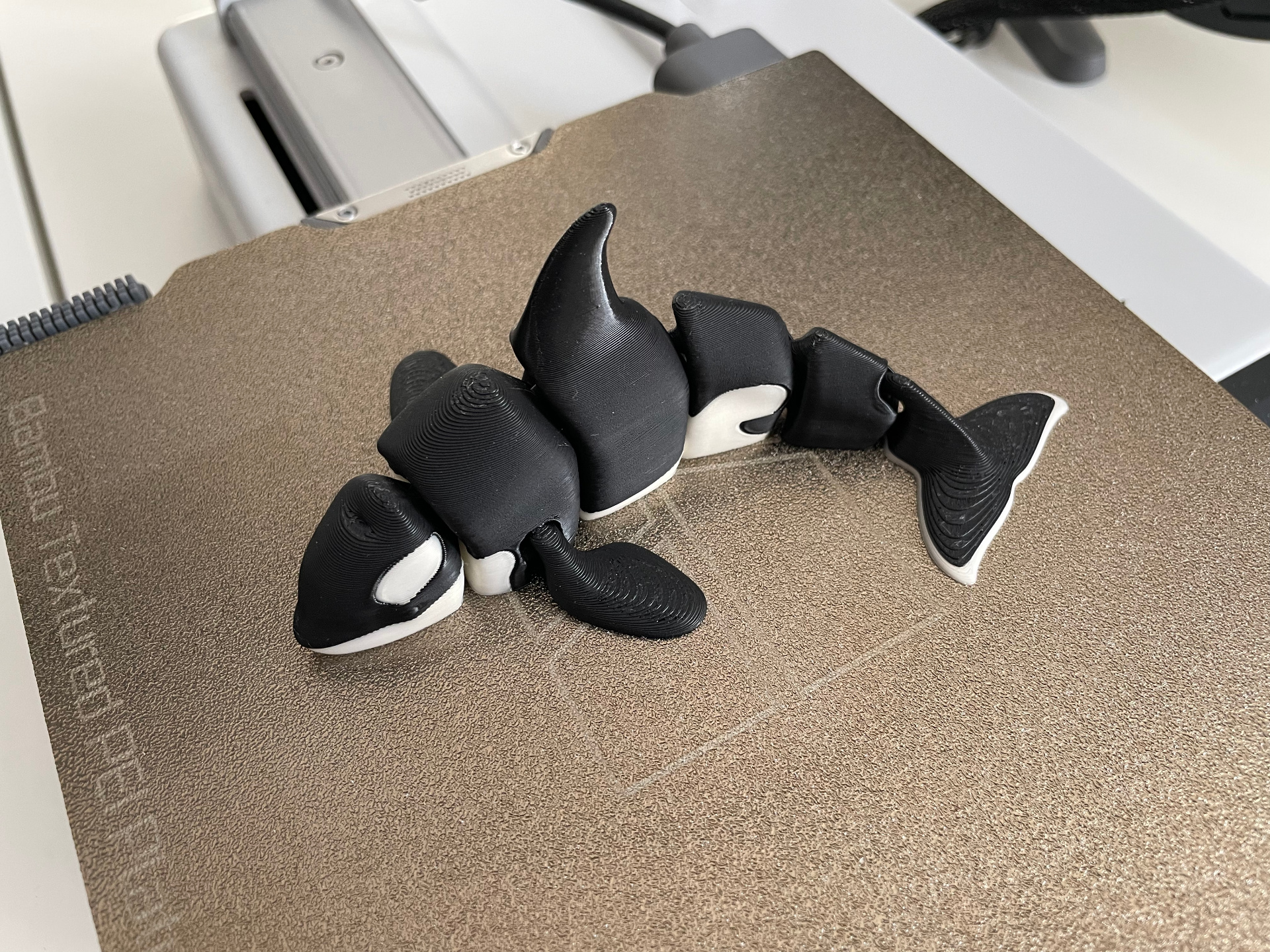 Articulated Orca Whale, photo 2