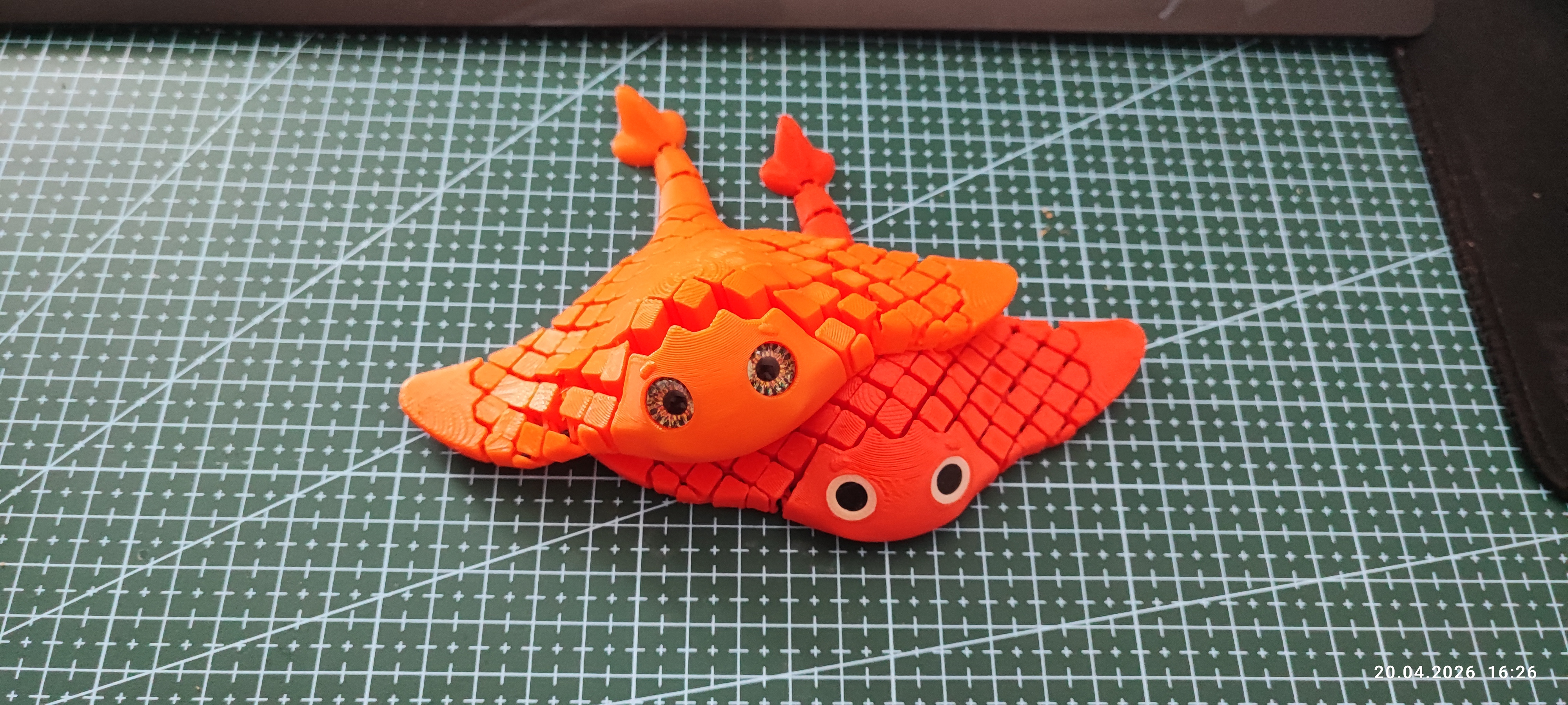 Articulated Manta Ray, photo 2