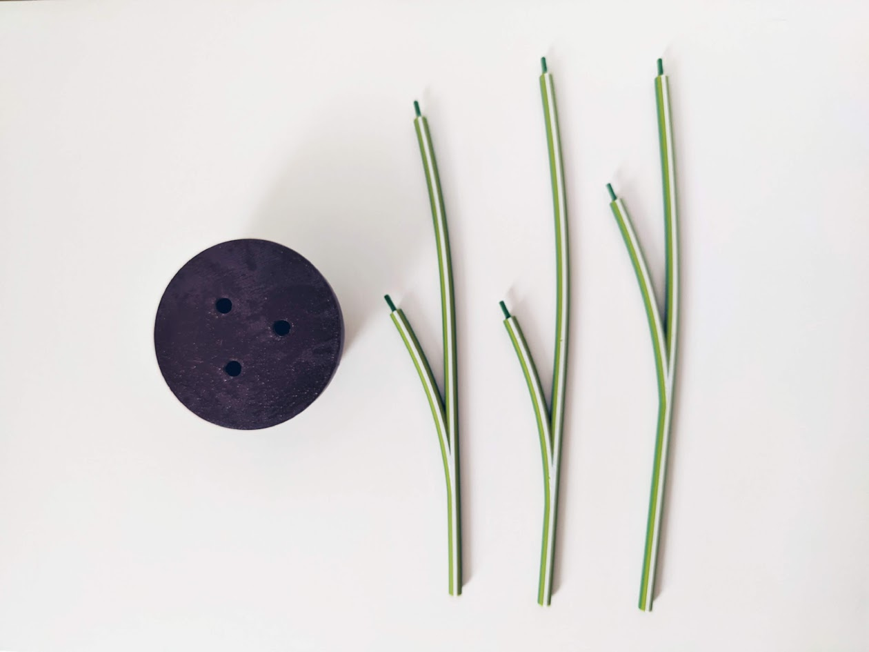 Monstera Plant with Six Leaf Coasters, photo 3