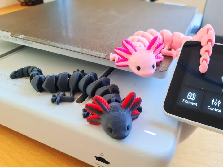 Articulated Colorful Axolotl